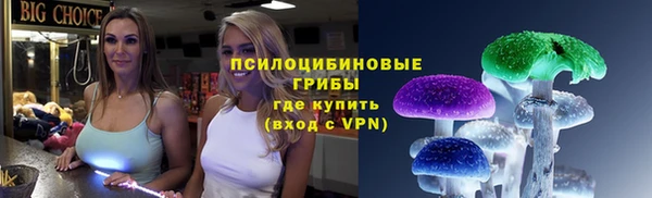 дмт Алзамай